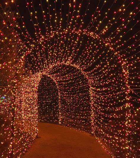 PHOTOS: Take a tour of Redding's twinkling Garden of Lights.